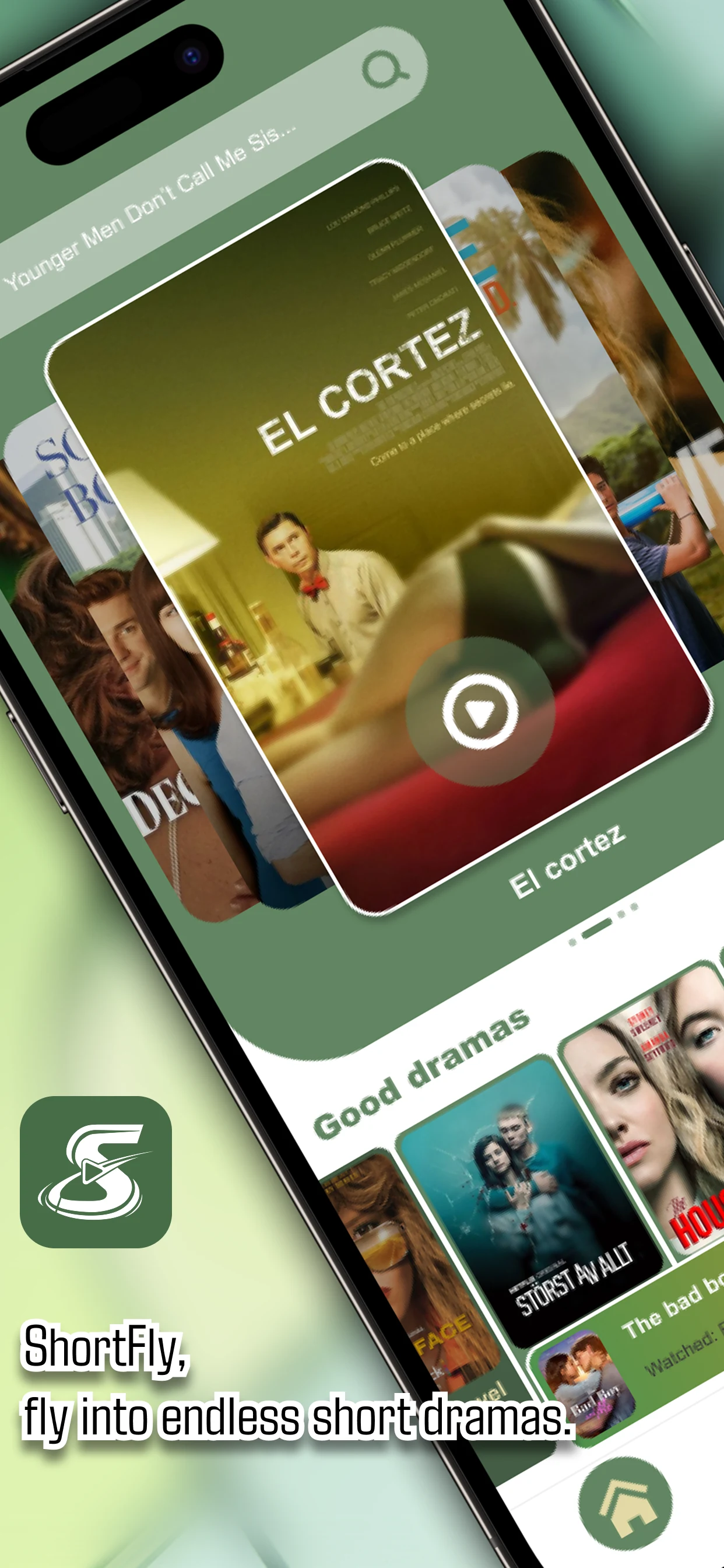 ShortFly screenshot